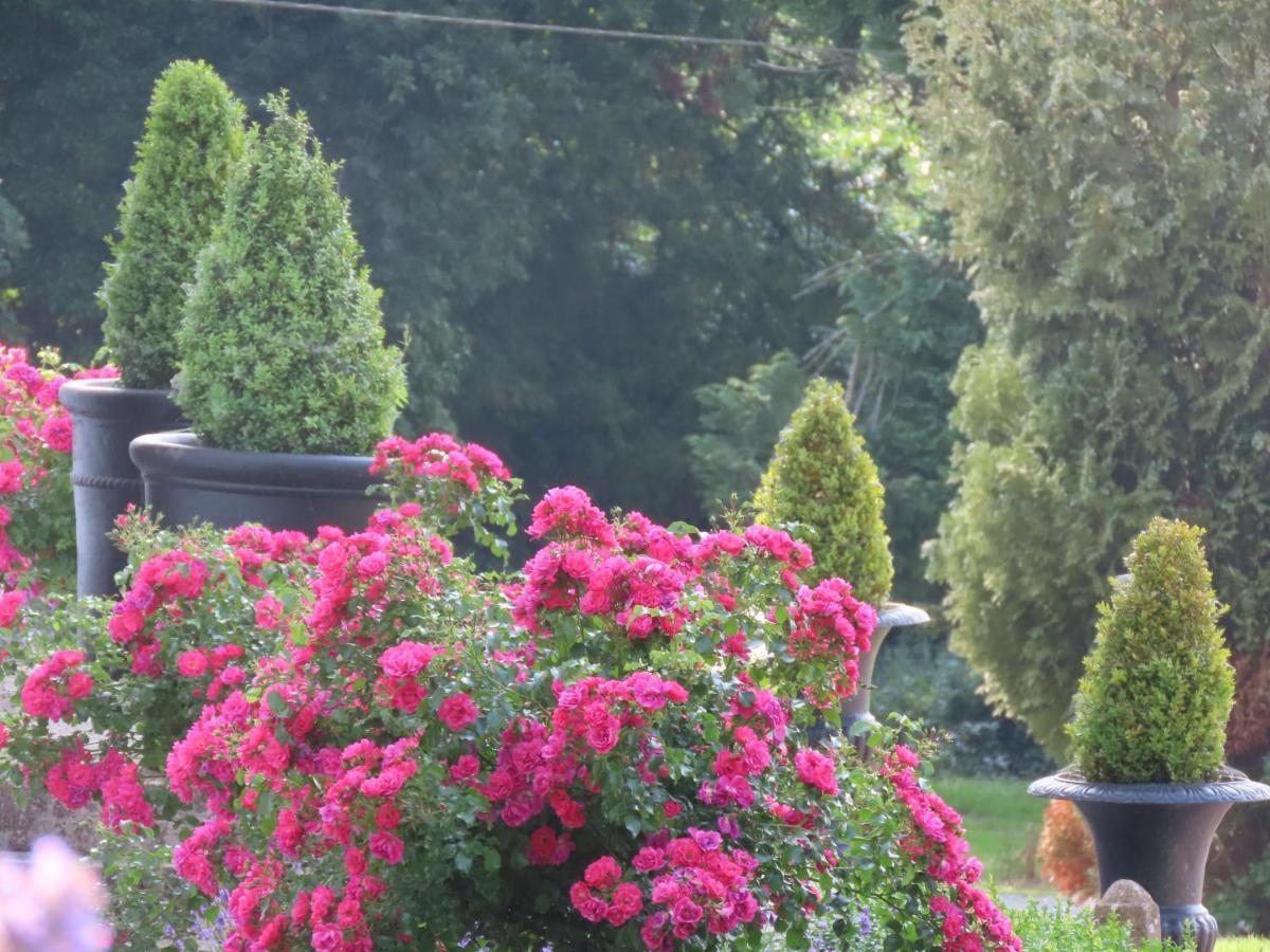 Noan Country House B&B Cashel  Bagian luar foto
