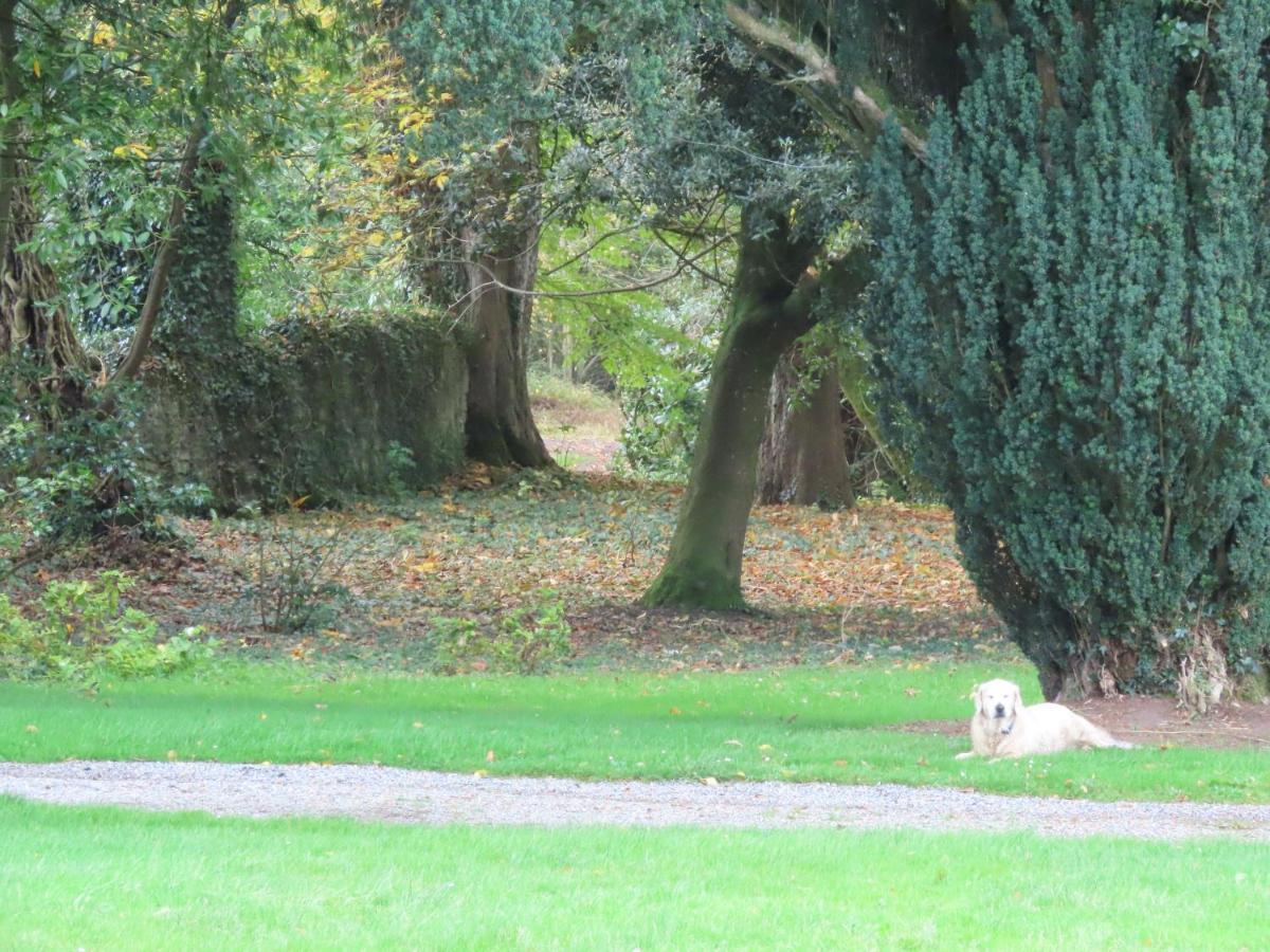 Noan Country House B&B Cashel  Bagian luar foto