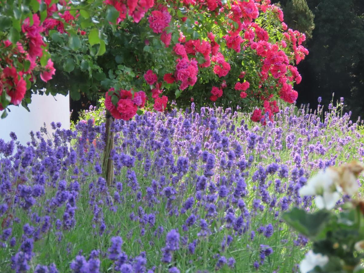 Noan Country House B&B Cashel  Bagian luar foto